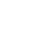 falk foundation